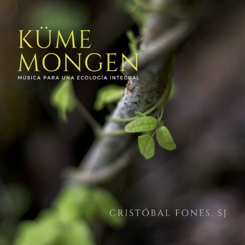 Kume Mongen